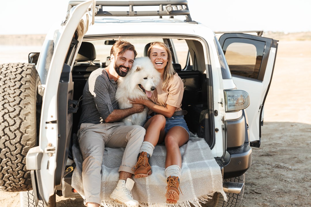 Couple with large white dog in the back of their vehicle