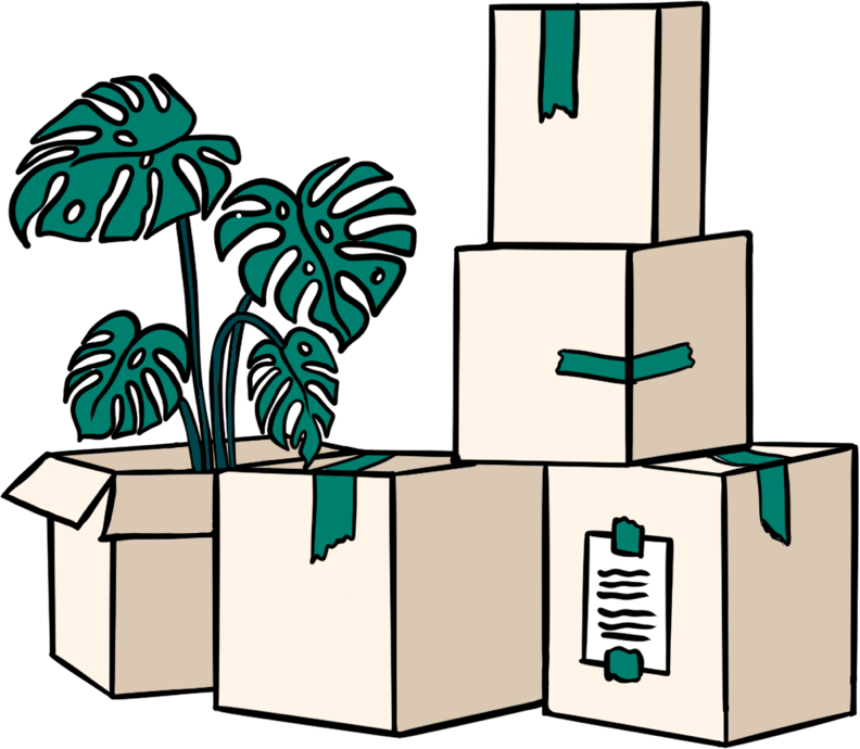 Illustration of a stack of moving boxes with green tape on them and a plant.