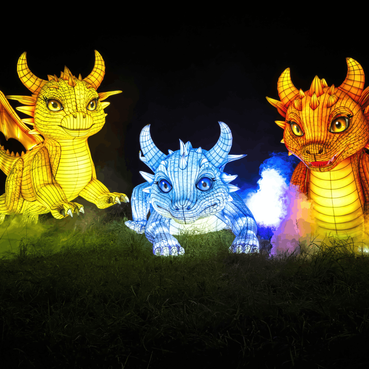 The Festival of Light 2026