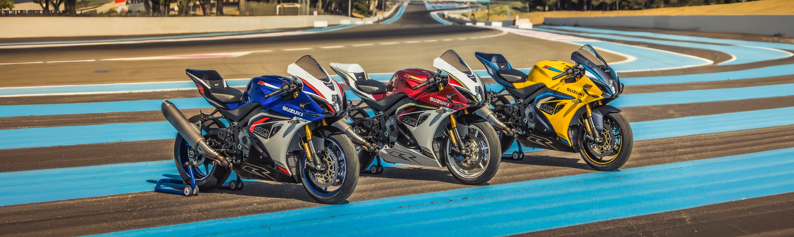 Suzuki GSX-R1000R colour line up side on at the end of the Mistral Straight at Paul Ricard