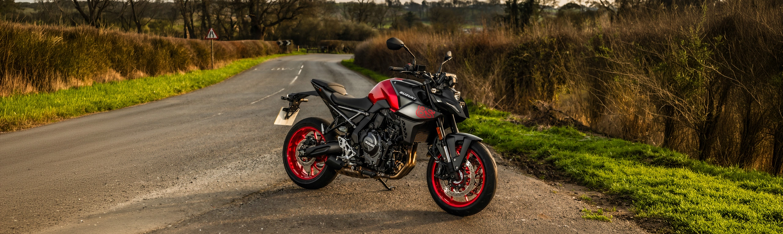 Suzuki GSX-8S red and black right hand side with a country road behind