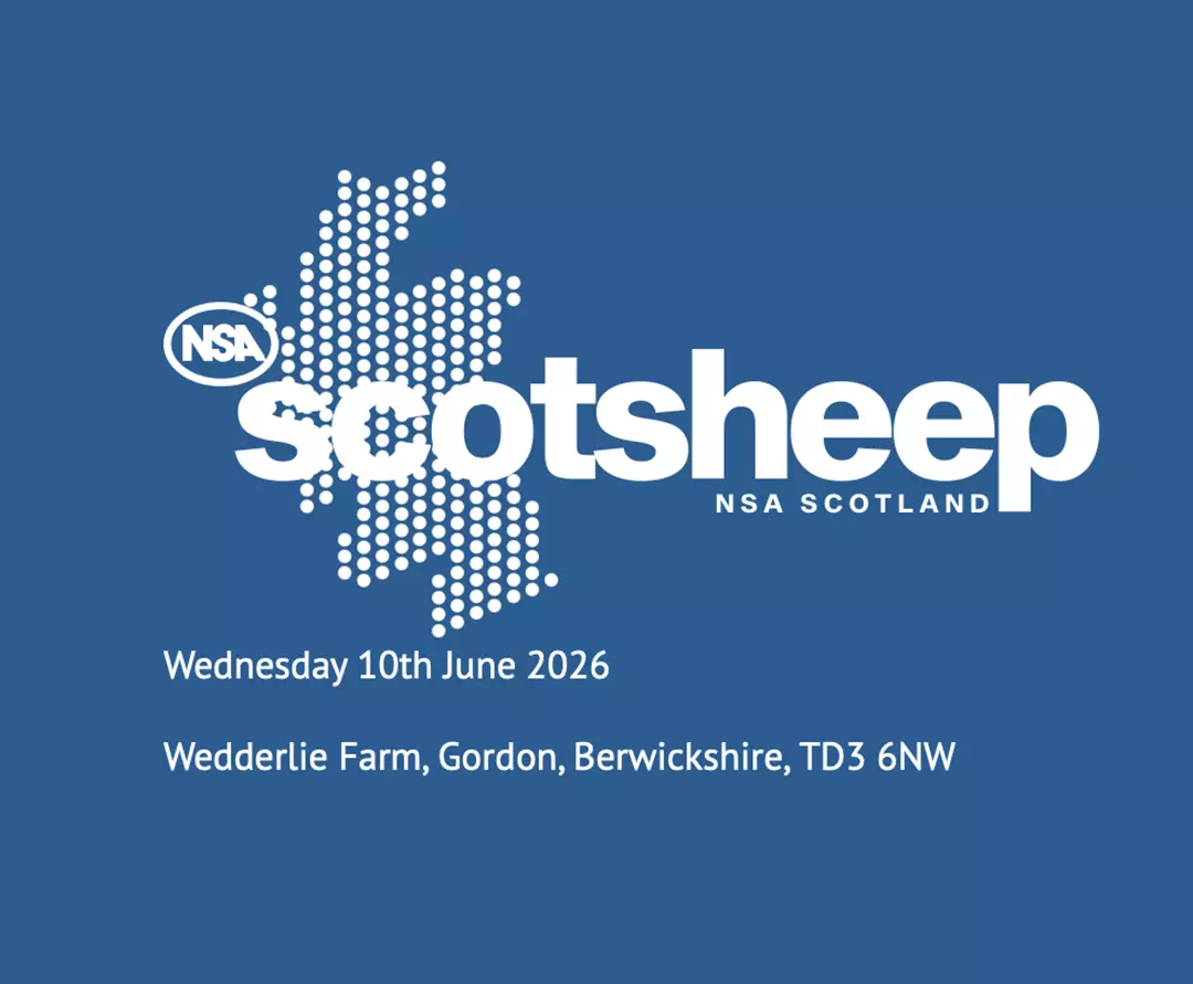 NSA Scotsheep logo