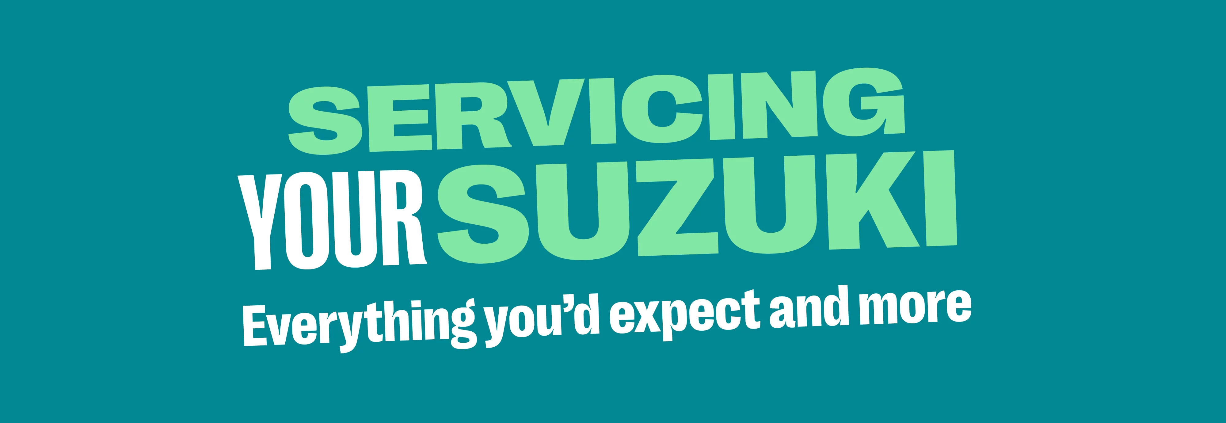 Servicing your Suzuki - everything you'd expect and more