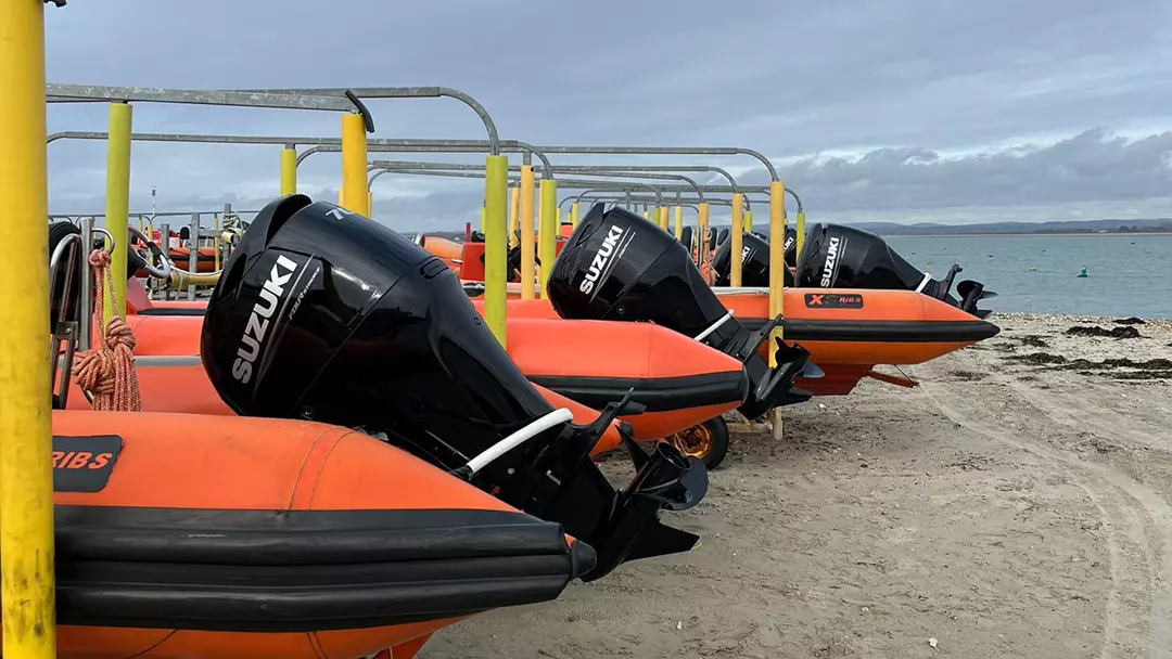 Suzuki outboards at Hayling Island Sailing Club