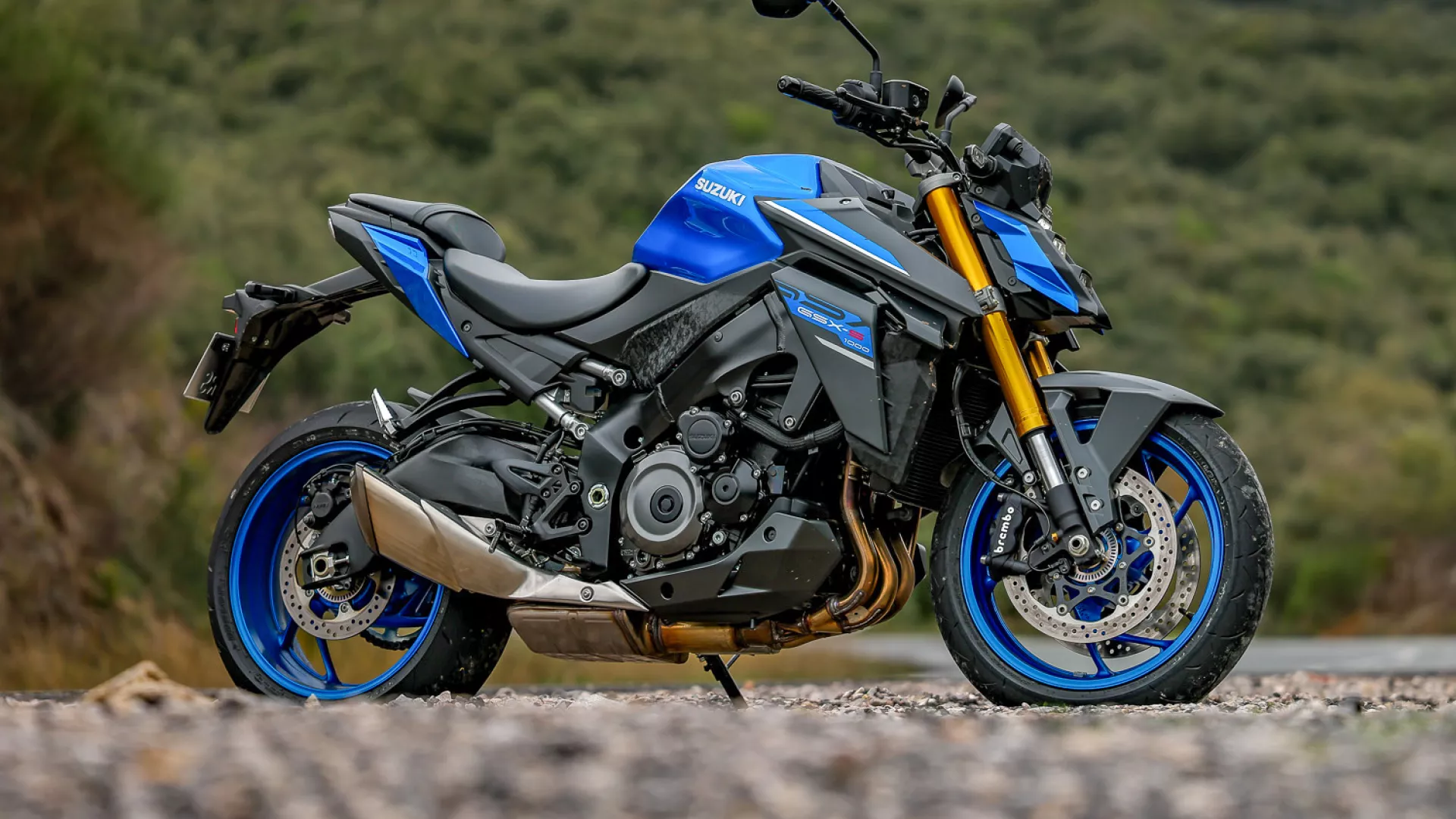 Suzuki GSX-S1000 blue right hand side static with a green countryside backdrop