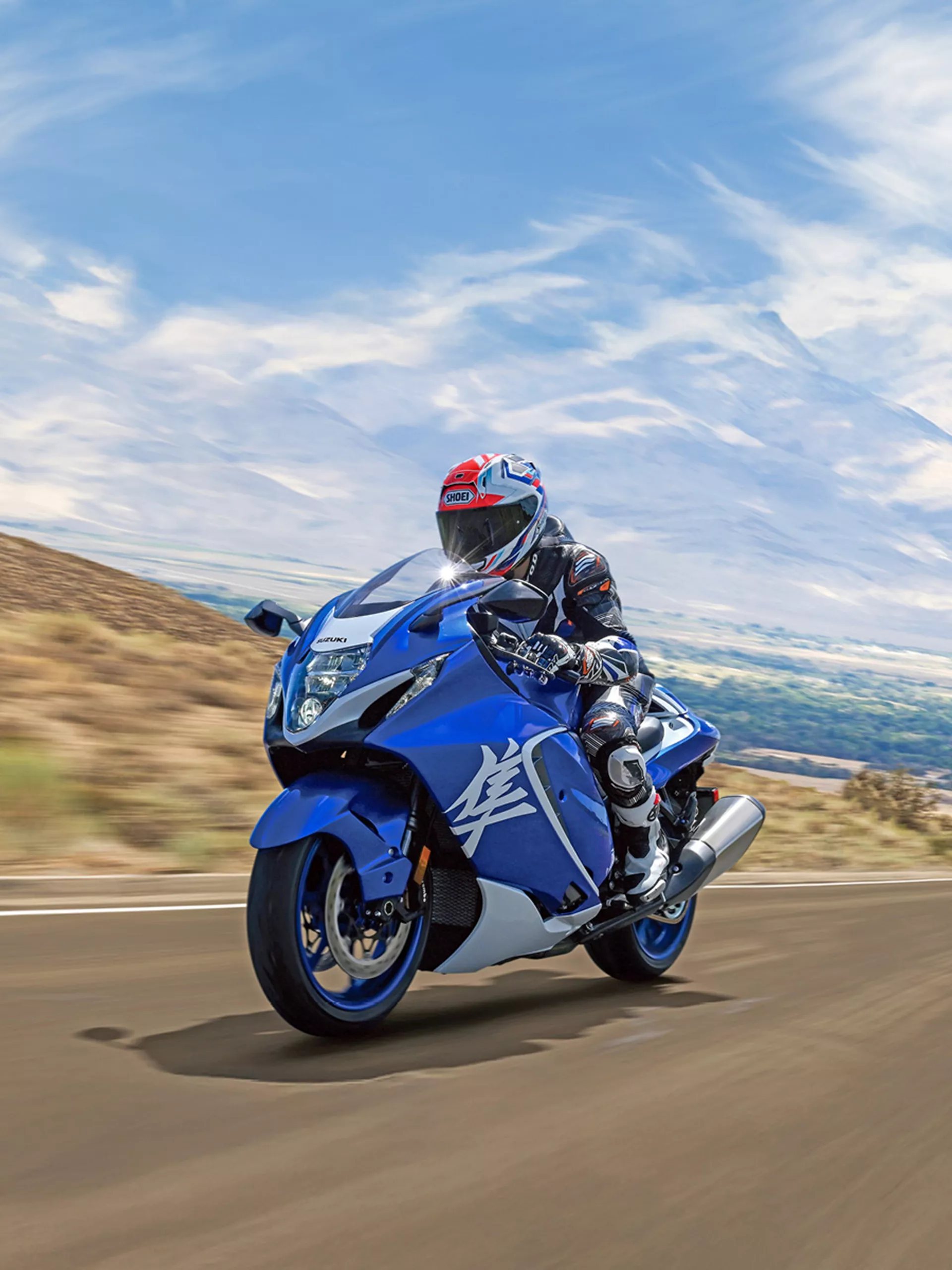 Suzuki Hayabusa Special Edition