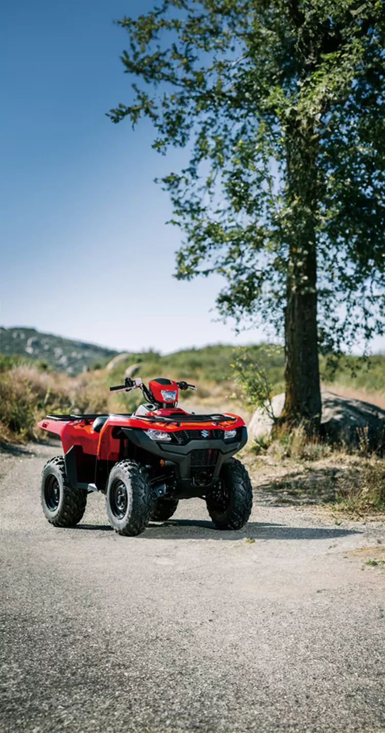 suzuki dual purpose