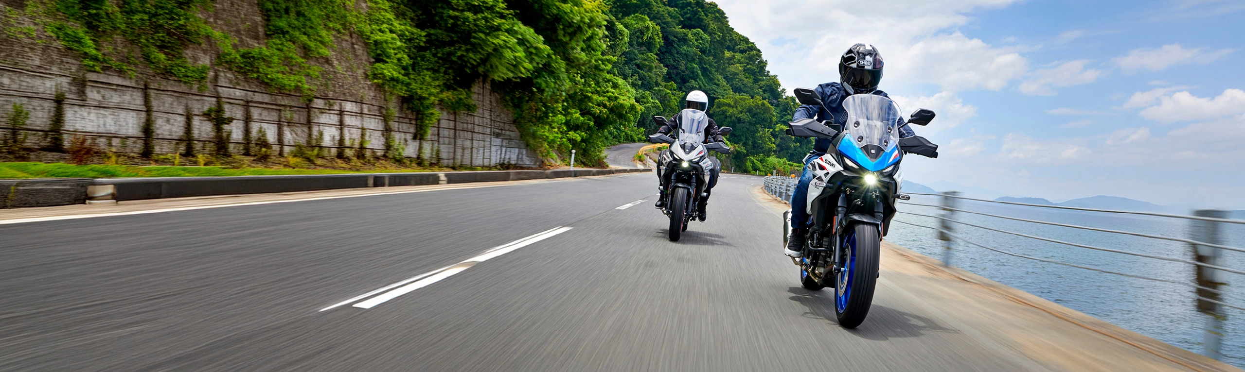 Suzuki SV-7GX with a fellow 7GX on a seaside route, with trees behind.
