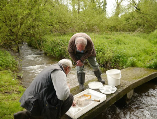 Volunteers at River Chess