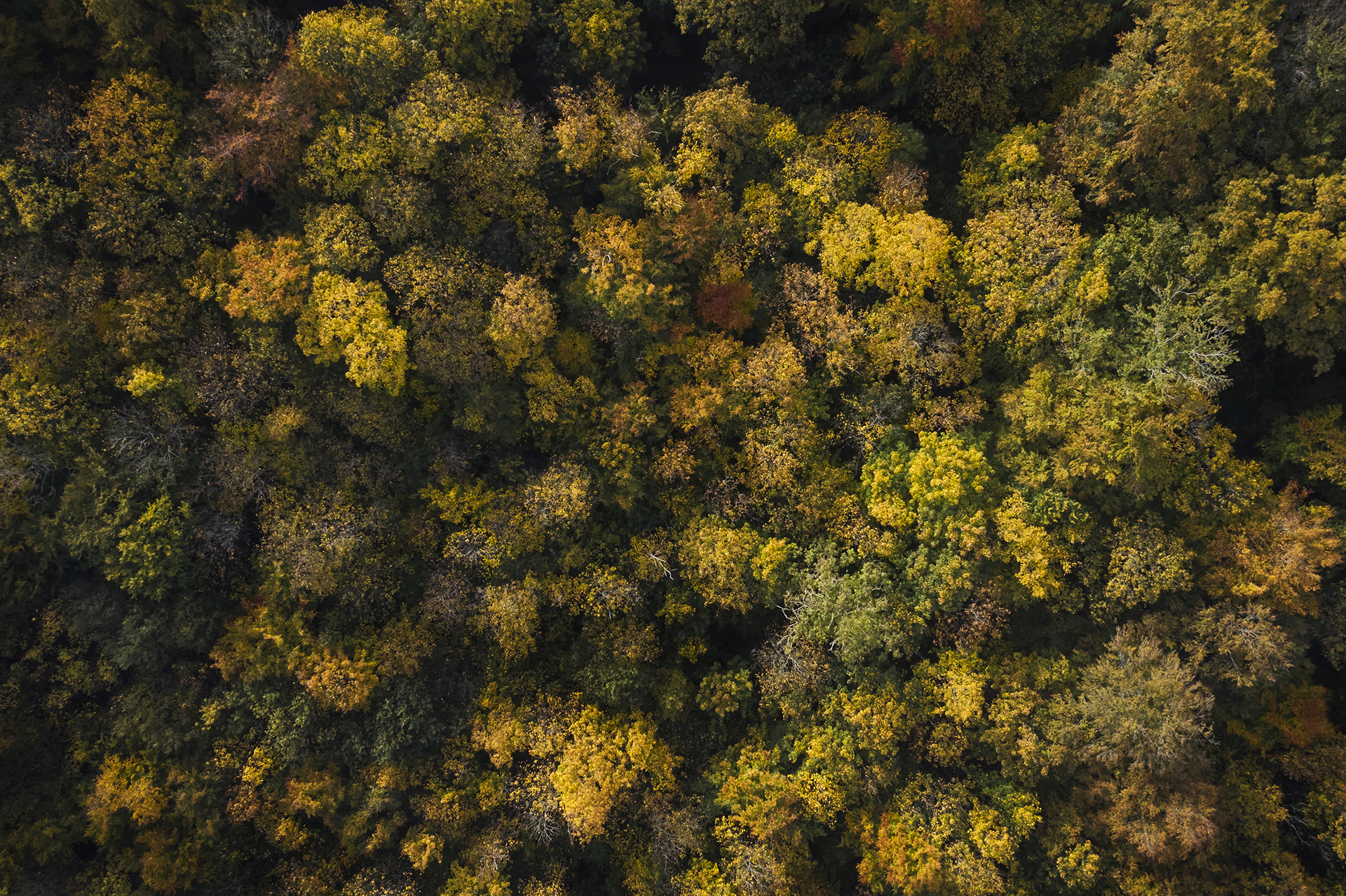 Vipp Farmhouse Fall Surroundings 06