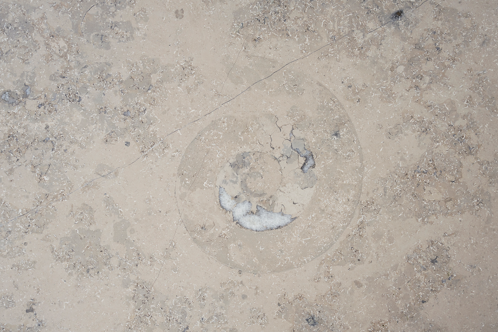 Jura Marble 26