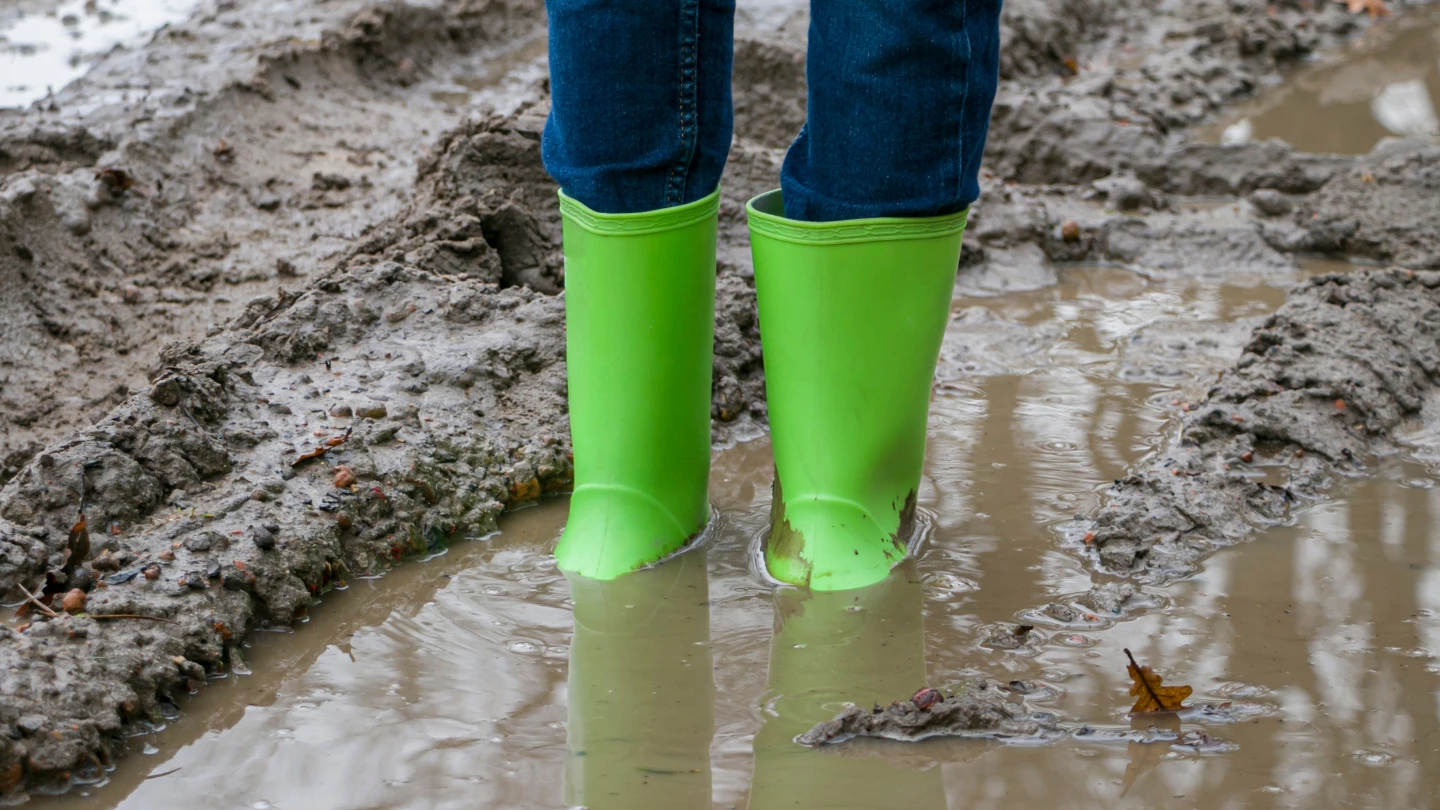 Ontwerp Zonder Titel